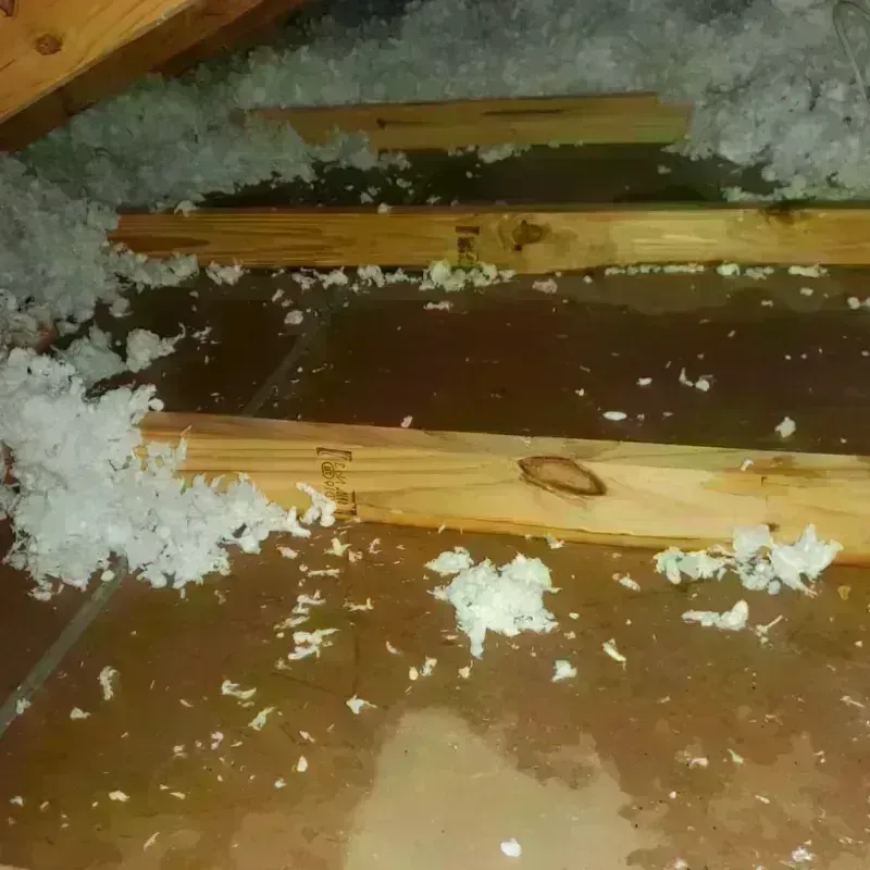 Attic Water Damage in Show Low, AZ